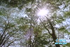 TV Content Image